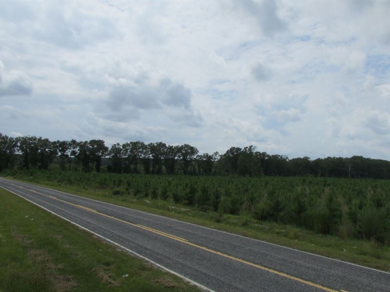 Lucknow Tract : Bishopville : Lee County : South Carolina