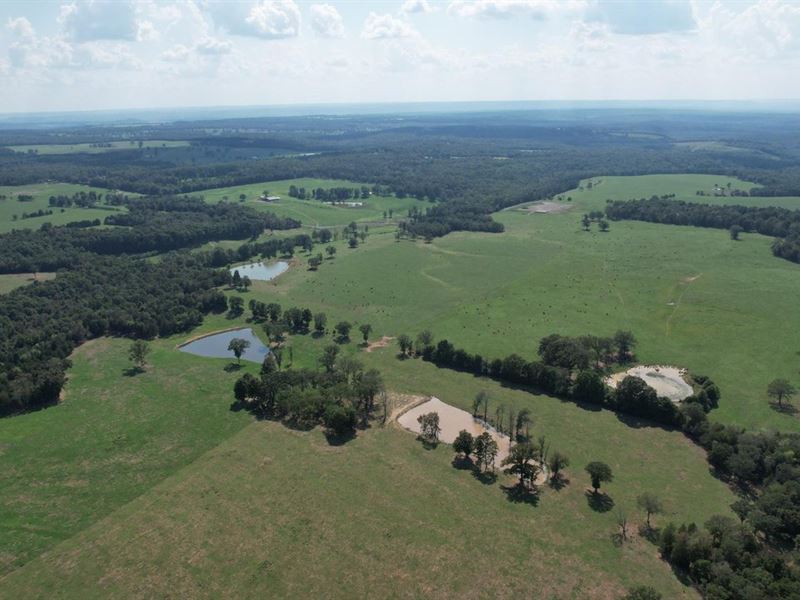 Beechfork Ranch, Hickory Flat : Hickory Flat : White County : Arkansas