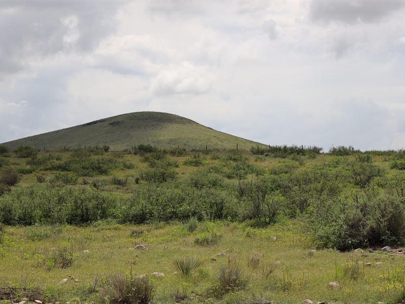 Quail Meadow 160 : Faywood : Grant County : New Mexico
