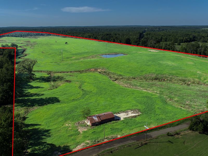 145 Ac Bermuda Pasture : Gilmer : Upshur County : Texas
