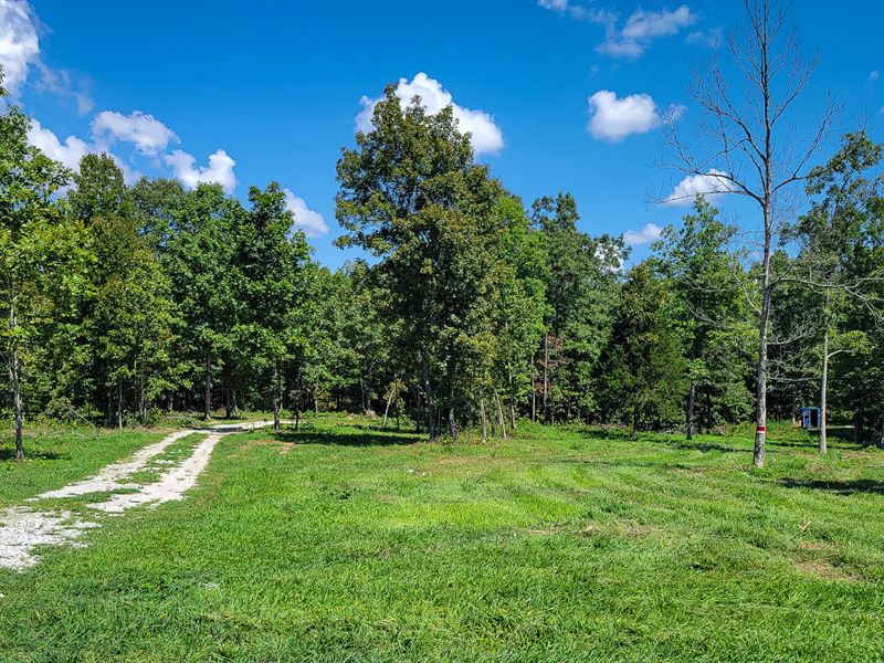 Seasonal Creek with Pasture : Brandsville : Howell County : Missouri