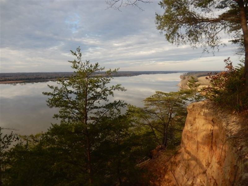 Bankruptcy Sale, Stunning Views : Northern Neck : Richmond County : Virginia
