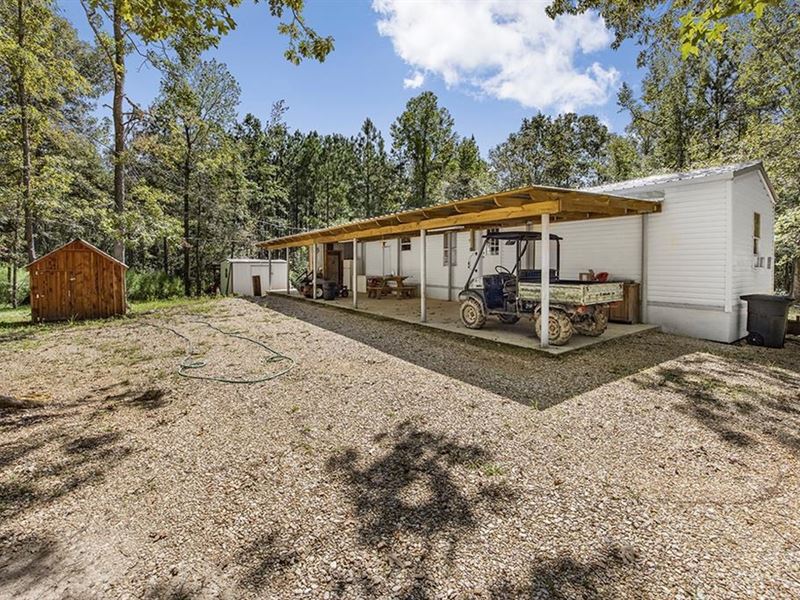 124 Acres Of Timberland On Beaver : Liberty : Amite County : Mississippi