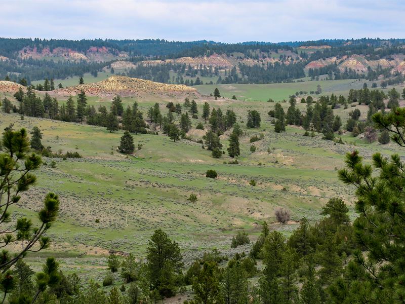Rosie Draw Ranch : Recluse : Campbell County : Wyoming
