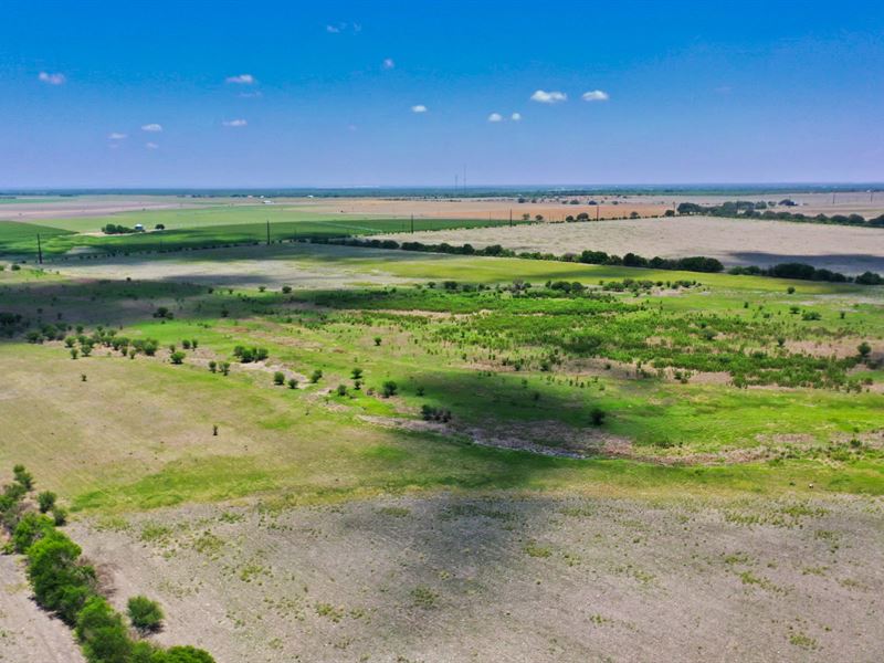 50 Acres Near San Antonio, Ranch for Sale in Texas, 332429 RANCHFLIP