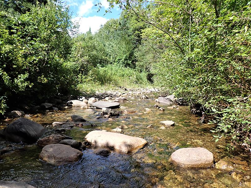 Tabor Branch River Forest : Topsham : Orange County : Vermont