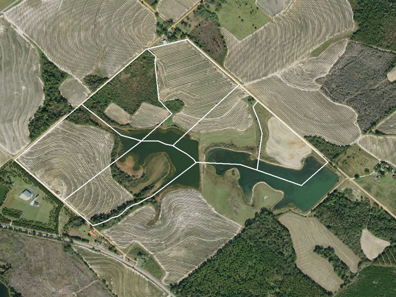 136.98 Acres in Laurens County, GA : Cadwell : Laurens County : Georgia