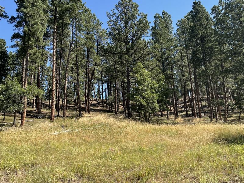 Bearlodge Estates Parcel : Sundance : Crook County : Wyoming