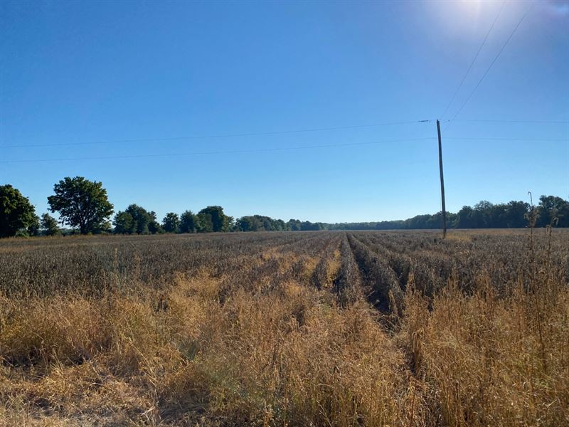 La, Caldwell 42 Acres : Columbia : Caldwell Parish : Louisiana