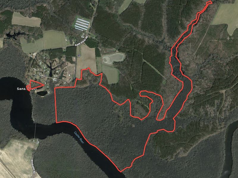 233 Acres of Waterfront Hunting Lan : Windsor : Bertie County : North Carolina