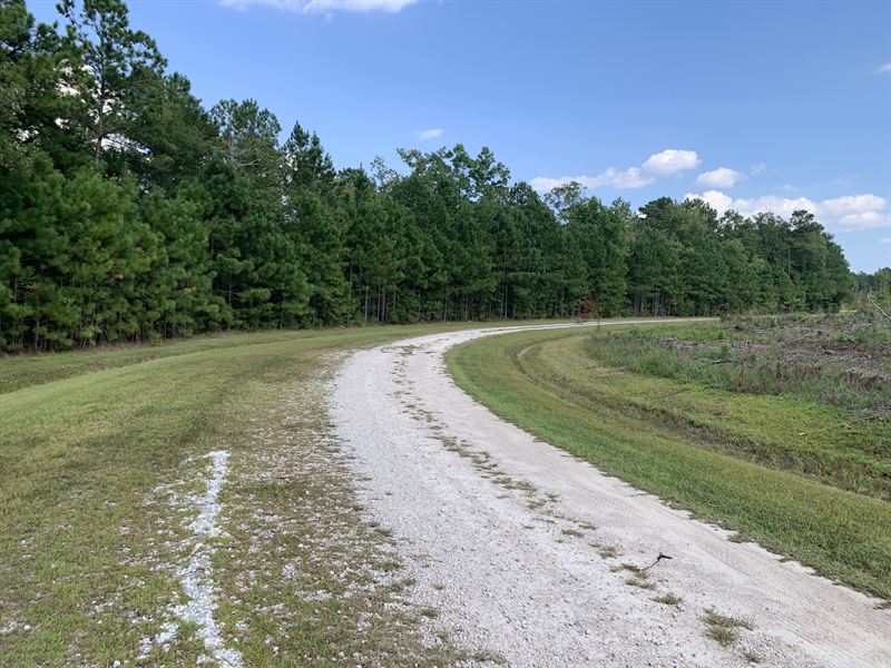 Riverfront Wooded Property for Sale, Ranch for Sale in North Carolina