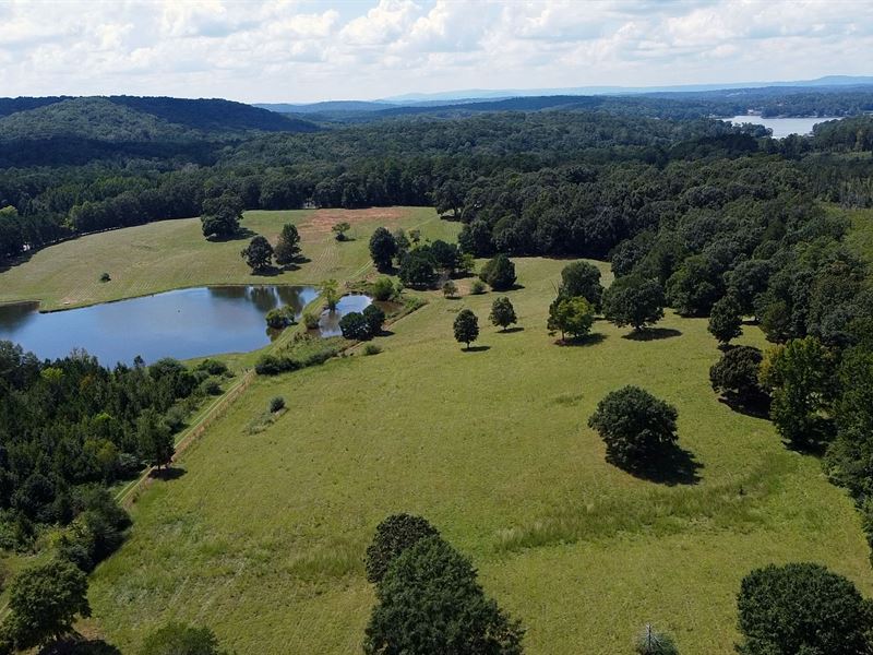 Pasture Land and Lake : Pell City : Talladega County : Alabama
