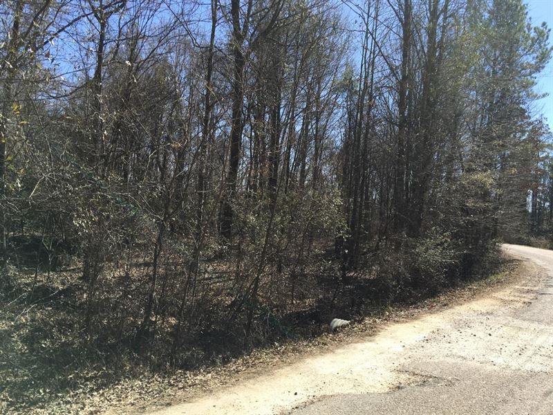 McCarty Road at Drake Creek Tract : Tullos : La Salle Parish : Louisiana