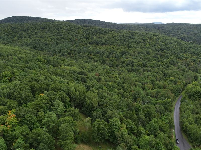 Wooded Home Site by Taghkanic Pkwy : Taghkanic : Columbia County : New York