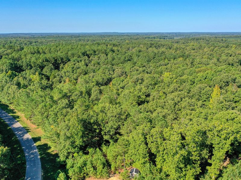 Attention Hunters : Huntingdon : Carroll County : Tennessee