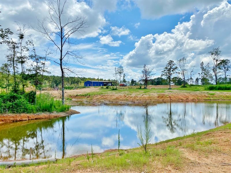 59 Acres Britt Simmons/Tanglewood : Magnolia : Pike County : Mississippi