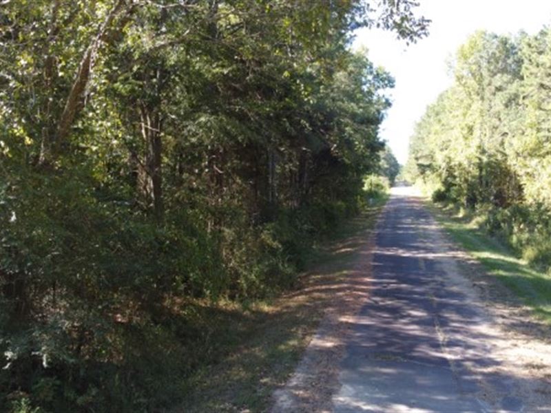Rural Home Site / Hunting : Blackstock : Chester County : South Carolina