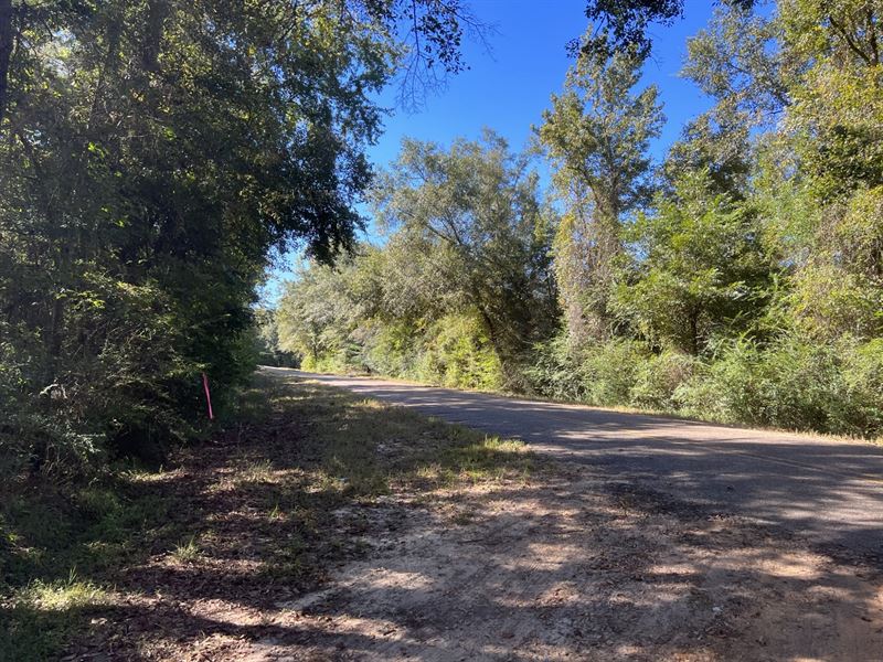 Gardner Road Tract 54 Acres : Goshen : Montgomery County : Alabama