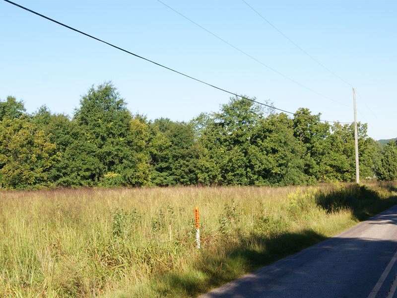 40 Acres Prime Development Tract : Greer : Spartanburg County : South Carolina