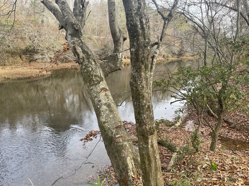 Tallapoosa River Frontage : Muscadine : Cleburne County : Alabama