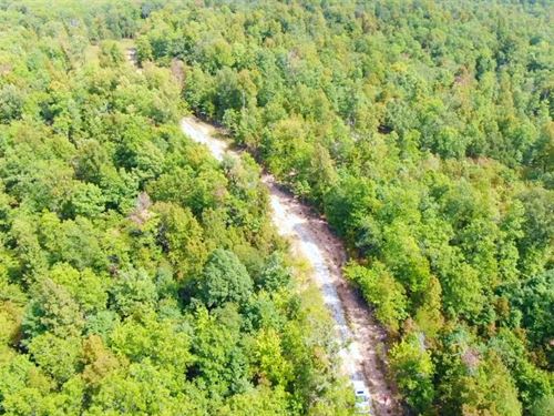 Owner Financed Land in MO : West Plains : Howell County : Missouri