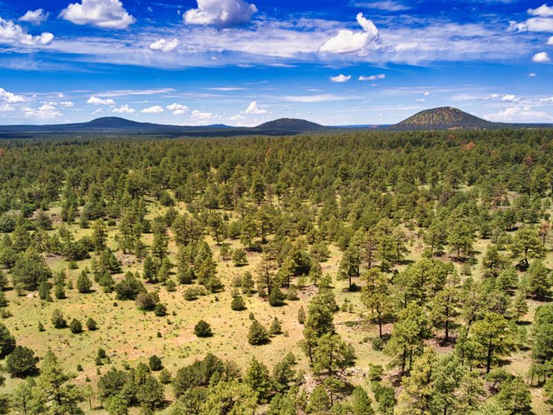 85 Acre Ranch Bordering Blm Land, Ranch for Sale by Owner in New Mexico