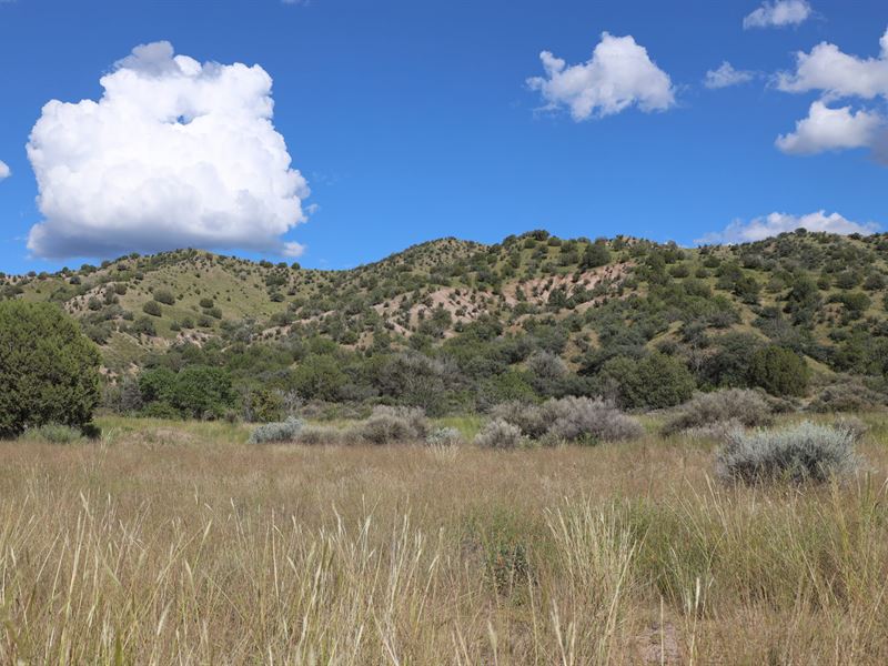 Noonday Canyon Ranch, Ranch for Sale in New Mexico, 333576 RANCHFLIP