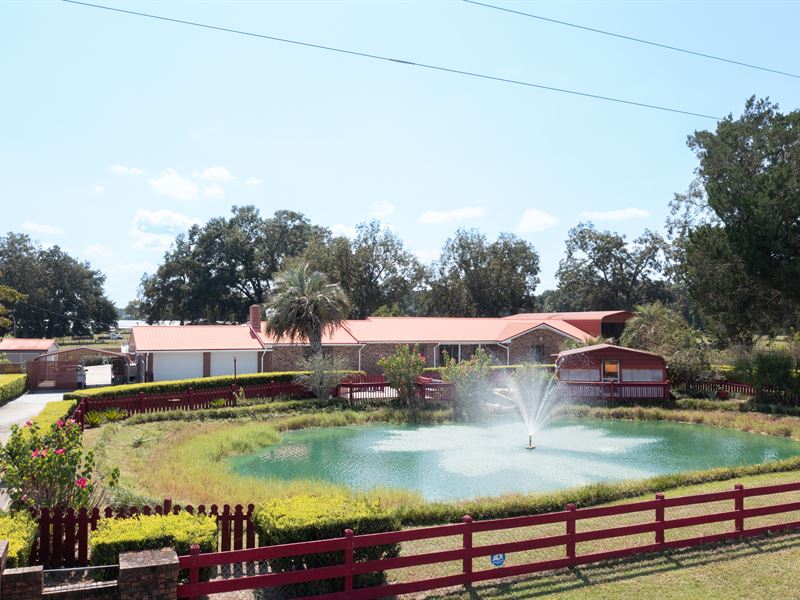Unique Farm, North Central Florida : Live Oak : Suwannee County : Florida