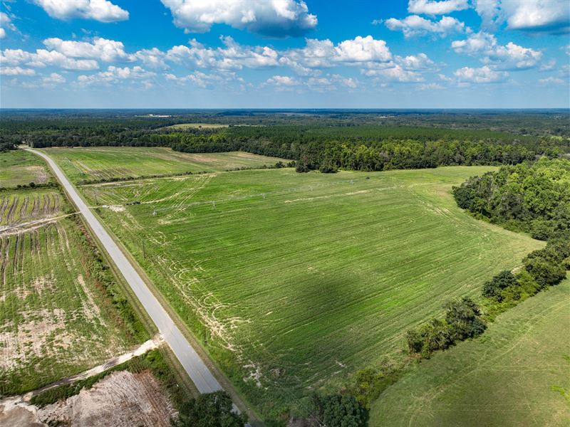 Damascus Farm : Mershon : Bacon County : Georgia