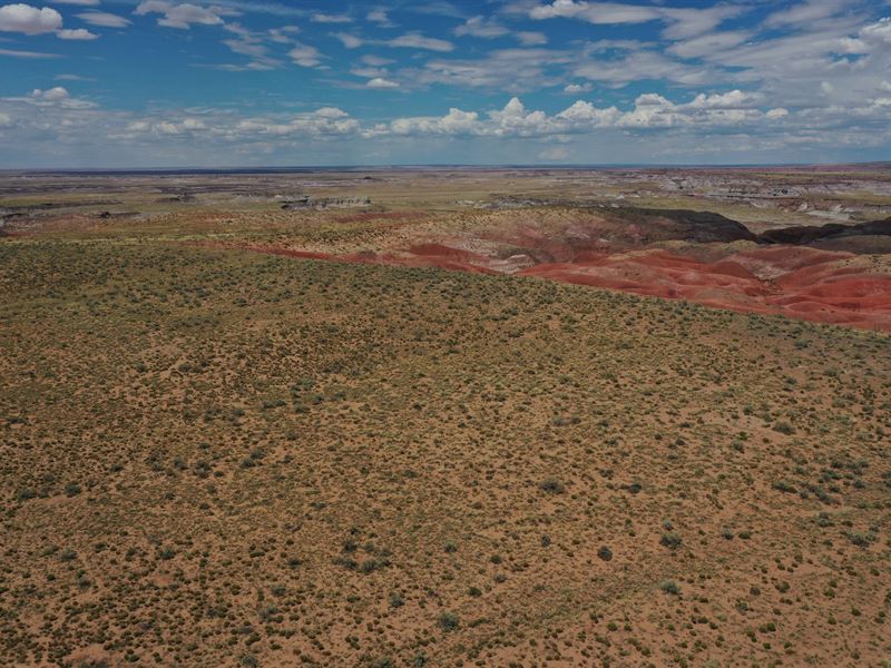 40 Acres of Breathtaking Views : Holbrook : Apache County : Arizona
