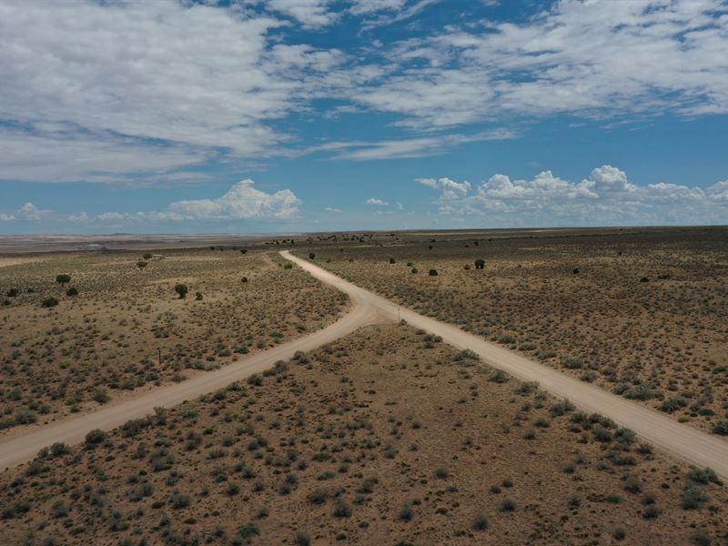 Seller Financing Available 36 Acres : Holbrook : Apache County : Arizona