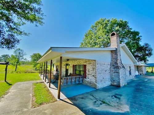 Home on 10 Acres, Mt. Hermon, LA : Mount Hermon : Washington Parish : Louisiana