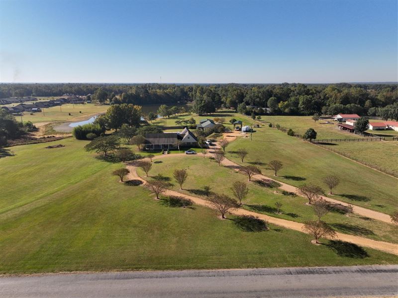 Lowndes County Country Dream : Steens : Lowndes County : Mississippi