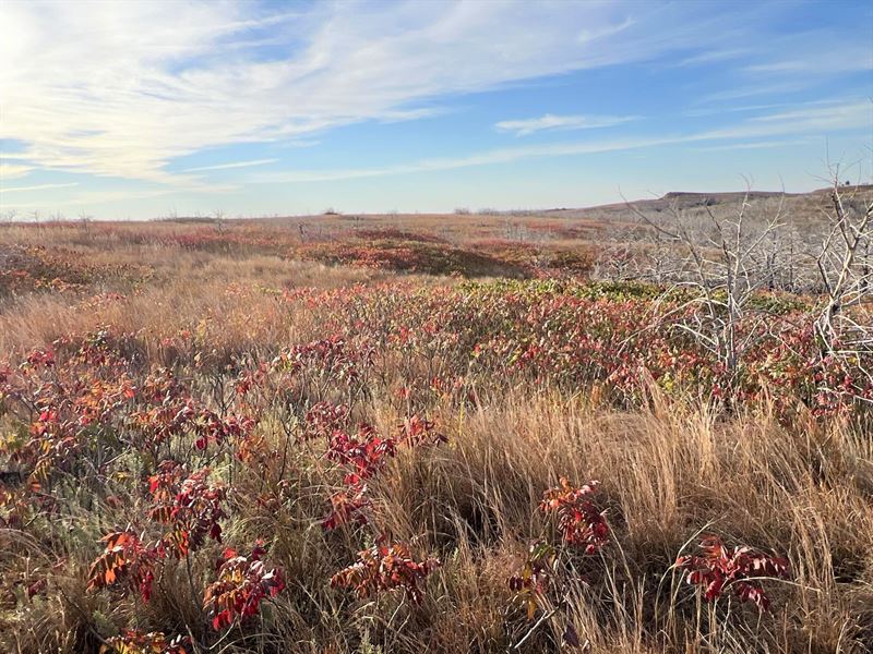 Cattle Ranch Or Recreation : Taloga : Dewey County : Oklahoma