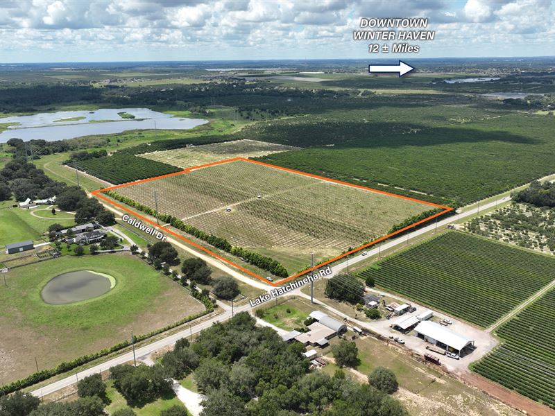 Lake Hatchineha Road Res Dev : Haines City : Polk County : Florida