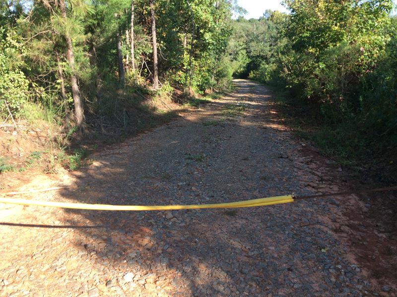 Ballard Rd Lots, 5 Ac Lots, $25000 : Luverne : Crenshaw County : Alabama