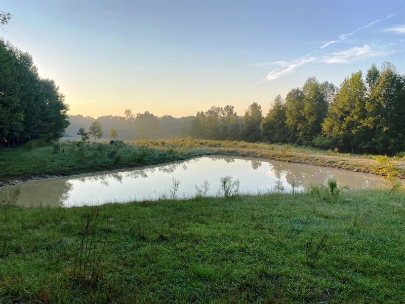 17 Acre Cook Creek Mini Farm : Russellville : Colbert County : Alabama