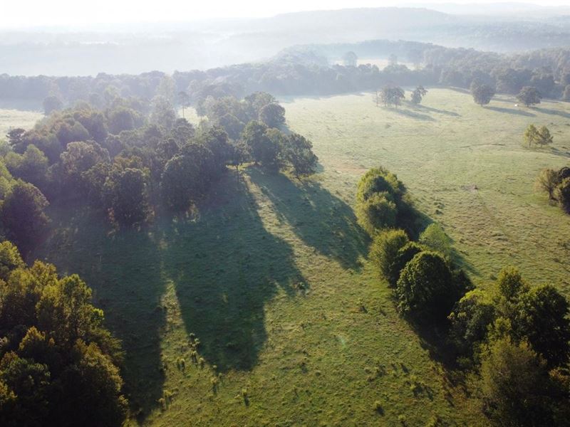 39.5 Acre Cook Creek Mini Farm : Russellville : Colbert County : Alabama