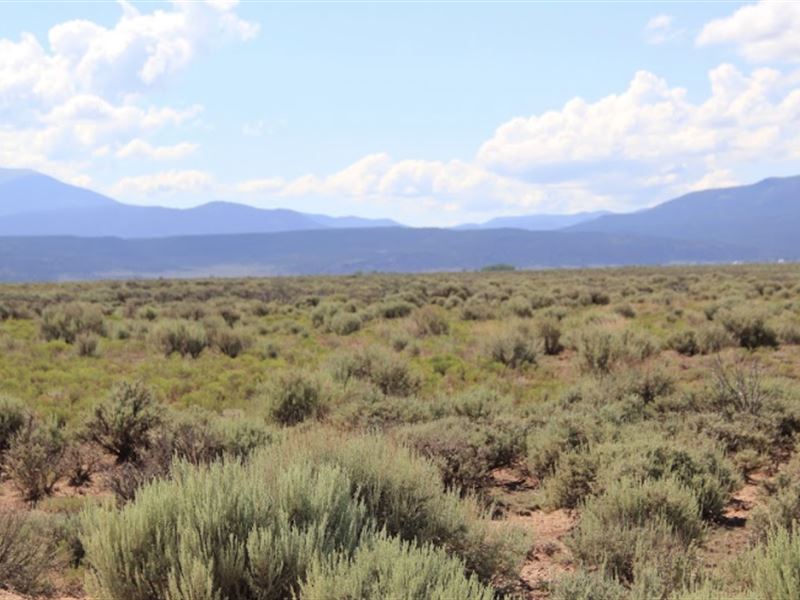 Have Your Own Hunting Escape : San Luis : Costilla County : Colorado