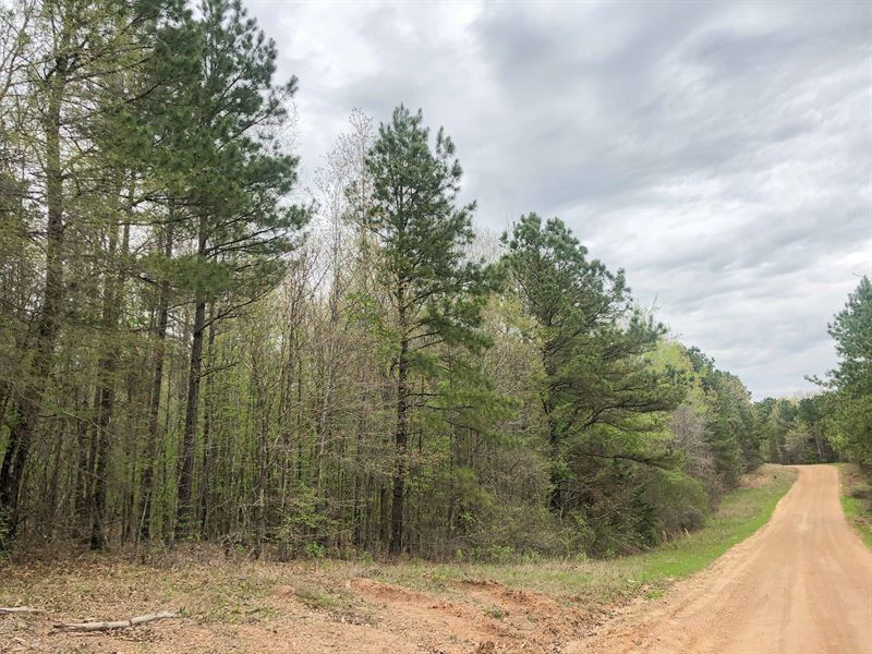 22 Acres, CR 4284 : Bassett : Bowie County : Texas