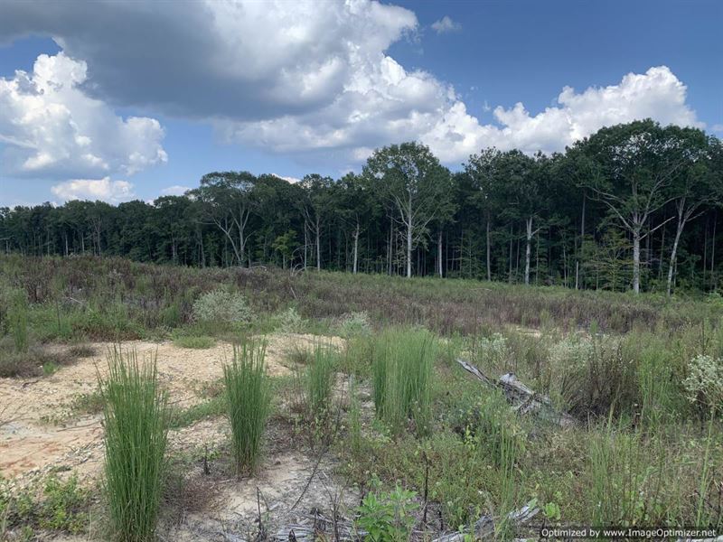 80 AC in Simpson County, MS : Mendenhall : Simpson County : Mississippi