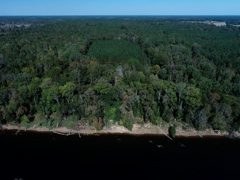 River Front Hunting Property : White Oak : Bladen County : North Carolina
