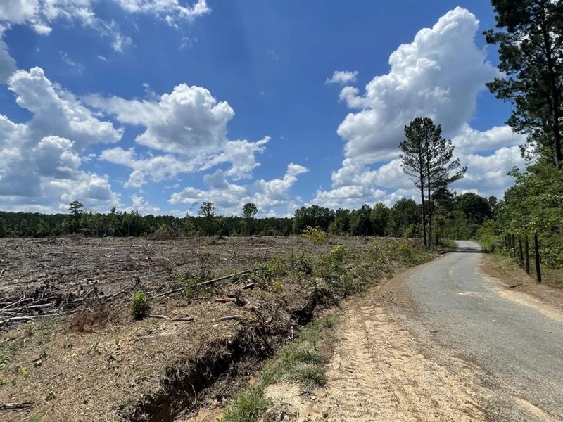 67 Ac in Prague, AR in Grant County : Prague : Grant County : Arkansas