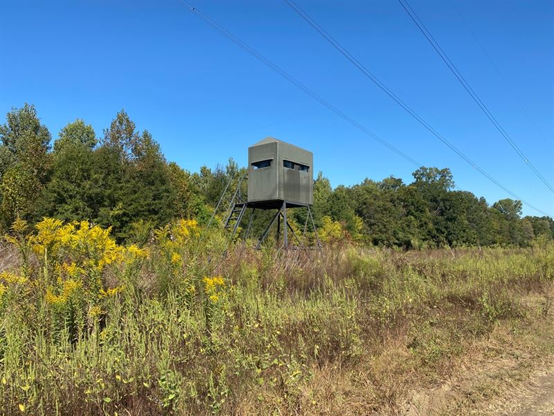 Ms, Warren 850 Acres : Vicksburg : Warren County : Mississippi