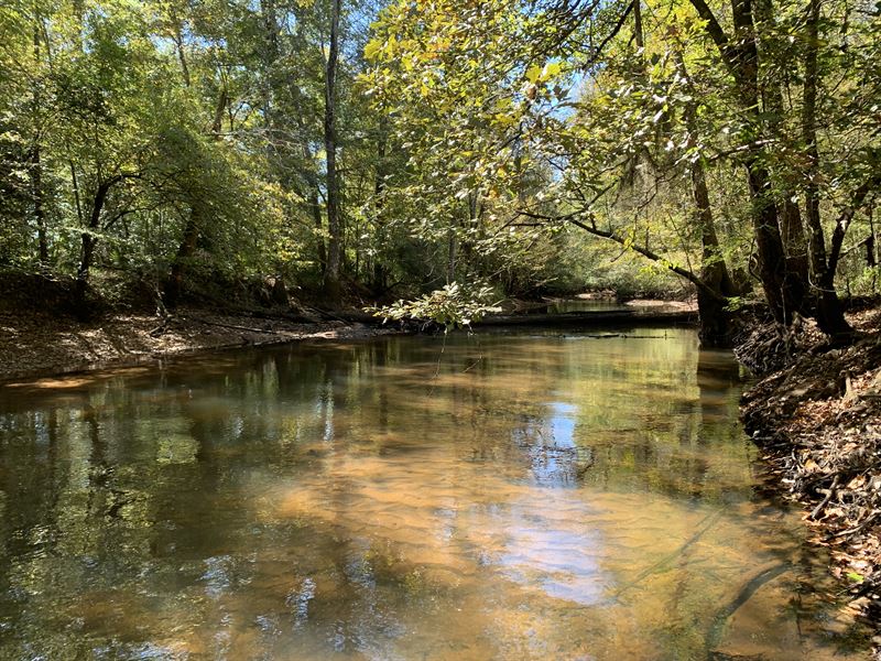 Big Sandy Creek : Toomsboro : Wilkinson County : Georgia