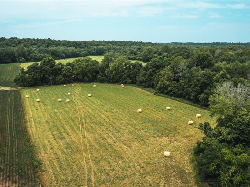 Gasconade Tillable Bottoms : Richland : Pulaski County : Missouri