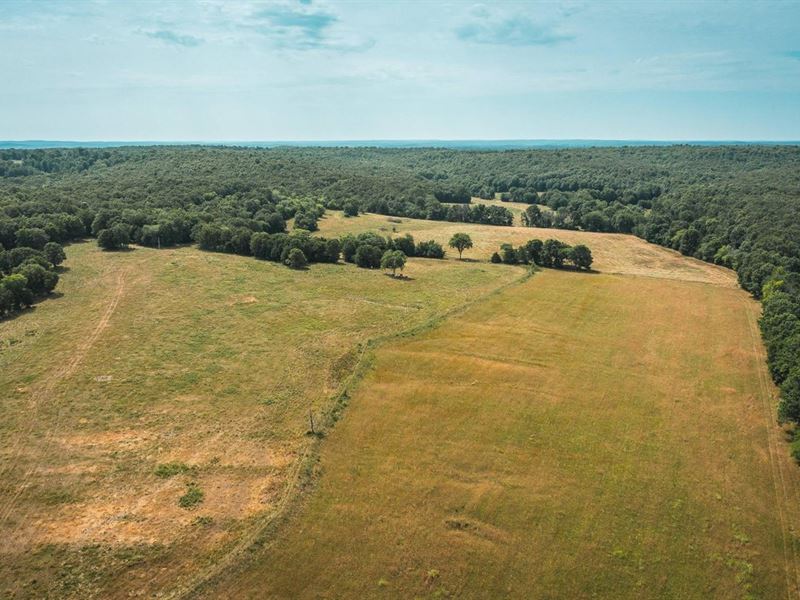 Camden County Longhorn Ranch : Stoutland : Camden County : Missouri
