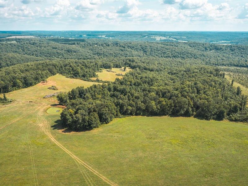 Buehlmann Pastures : Success : Texas County : Missouri