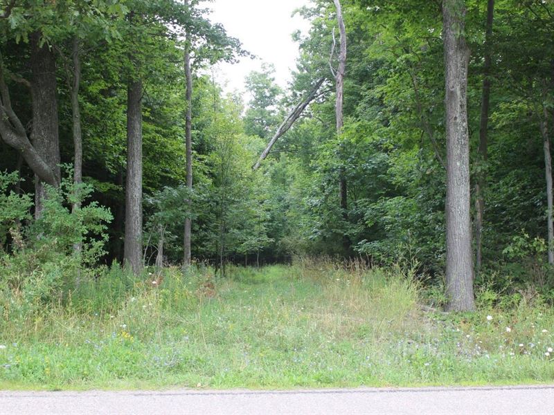 Deer Haven : Whitesville : Allegany County : New York
