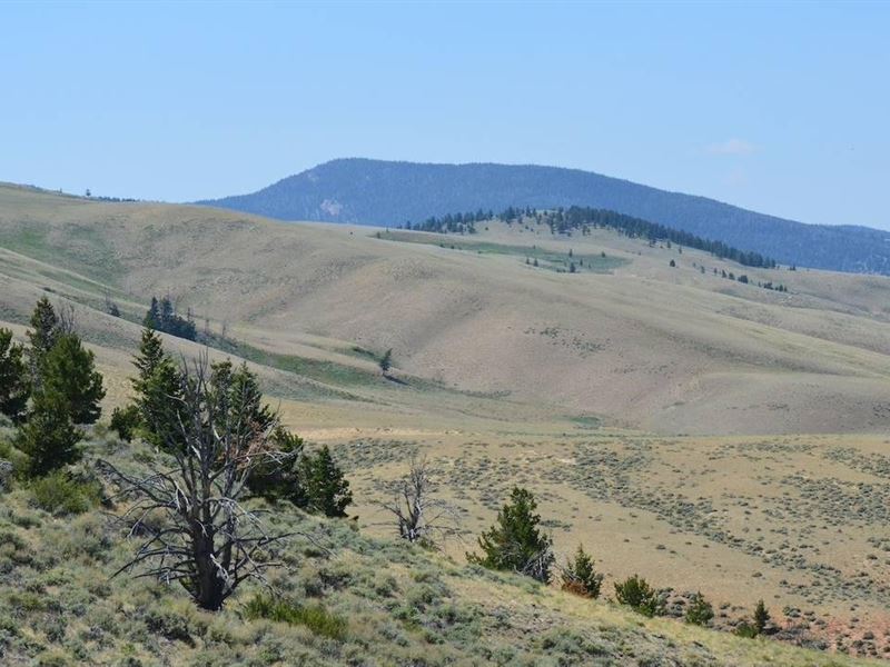 Remarkable Views, Secluded Subdivis : Dubois : Fremont County : Wyoming